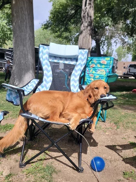 She is sassy, sweet, and loves to play and be free outside. She tries to befriend the cats, but they're not interested, and she loves laying out and barking at the deer. She greets you with hugs and kisses after being gone, even for a short time. She brings such joy to our family. -Marissa P.