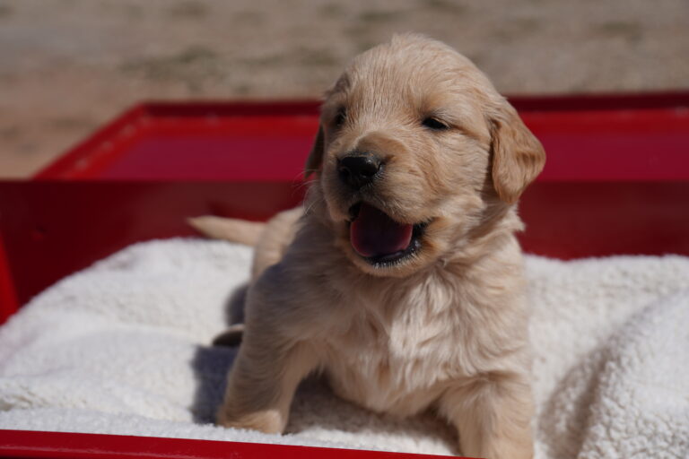 Bud DSC03632 2025-06-25