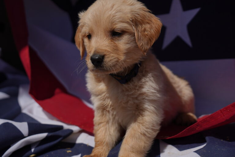 Bud DSC03941 2025-07-06