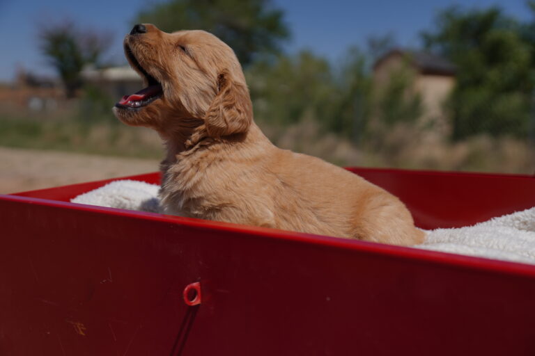 Cal DSC03663 2025-06-25