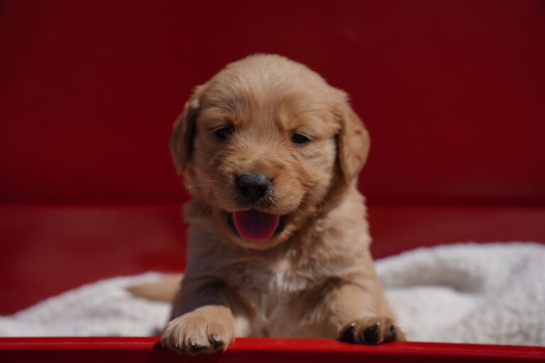 Cal DSC03669 2025-06-25