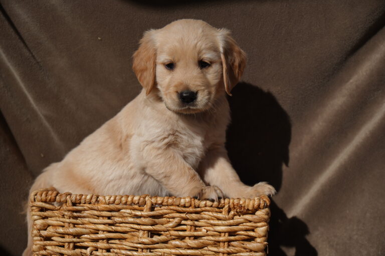 Flo DSC03985 2025-07-10