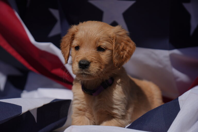 Maya DSC03835 2025-07-06