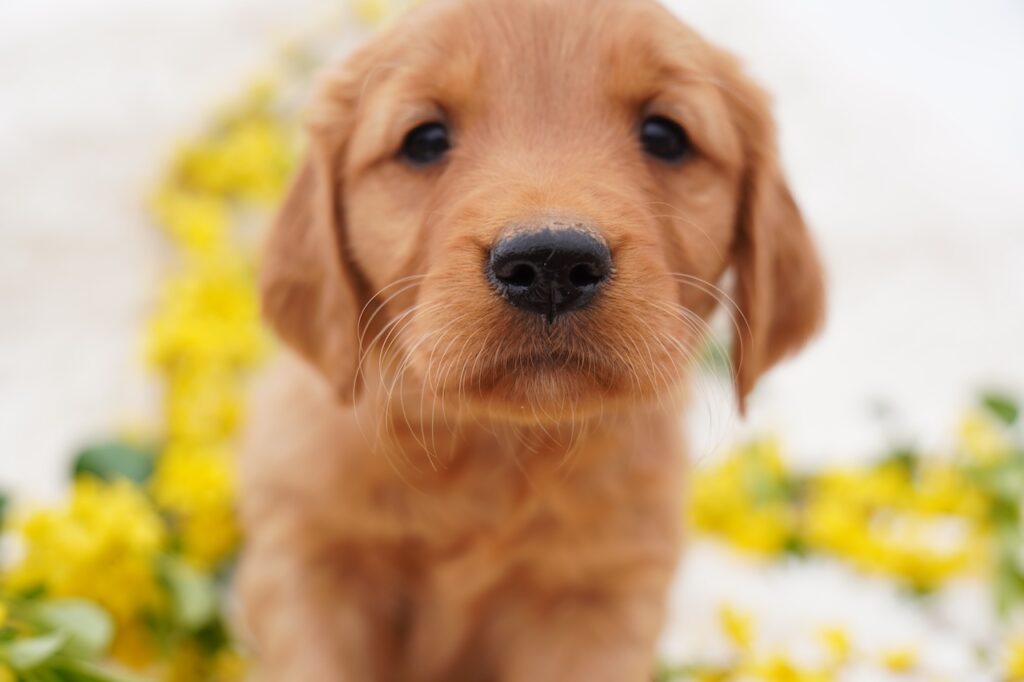 May - Female - Reserved